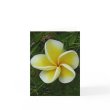Yellow Hawaiian Plumeria Folded Greeting Card