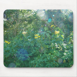 Yellow Hawaiian Wildflowers from Kauai Hawaii Mouse Pad