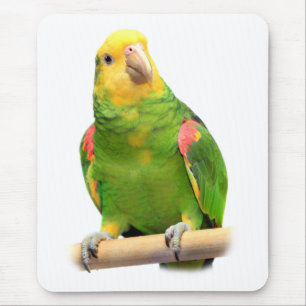 Yellow-headed amazon mouse pad