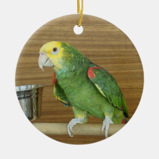 Yellow-Headed Amazon Parrot Ceramic Tree Decoration (Front)
