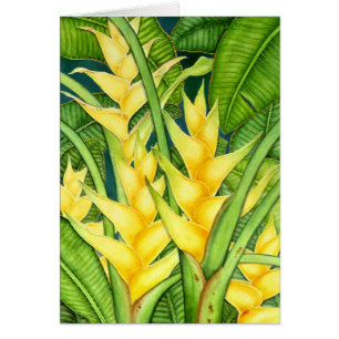Yellow Heleconia