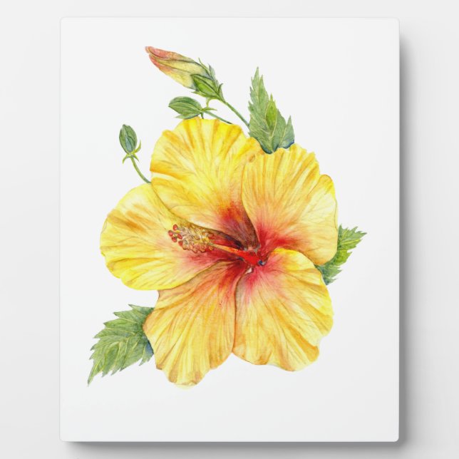 Yellow Hibiscus Botanical Art Plaque (Front)