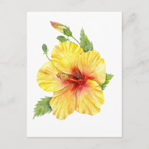 Yellow Hibiscus Botanical Art Postcard