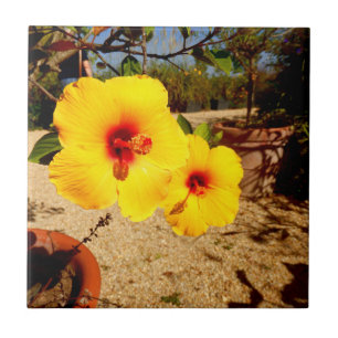 Yellow Hibiscus Ceramic Tile