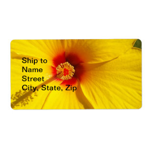 Yellow Hibiscus Flower