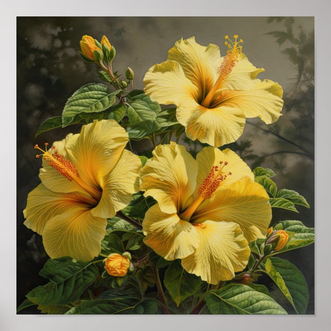 Yellow Hibiscus Flower Art Print Poster (Front)