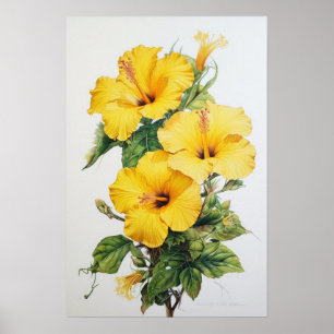 Yellow Hibiscus Flower Art Print Poster