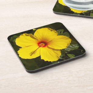 Yellow Hibiscus Flower Coaster