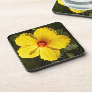 Yellow Hibiscus Flower Coaster