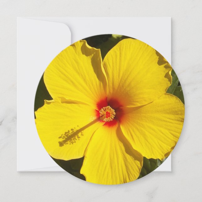 Yellow Hibiscus Flower Invitation (Front)