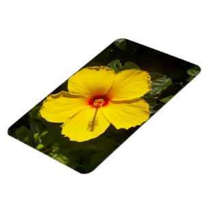 Yellow Hibiscus Flower Magnet