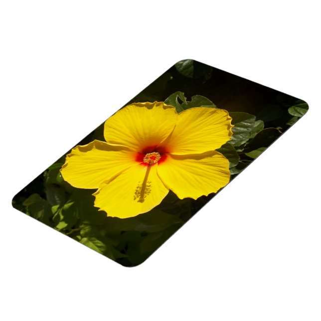 Yellow Hibiscus Flower Magnet (Left Side)