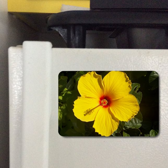 Yellow Hibiscus Flower Magnet (Yellow Hibiscus Flower Flexible Magnet)