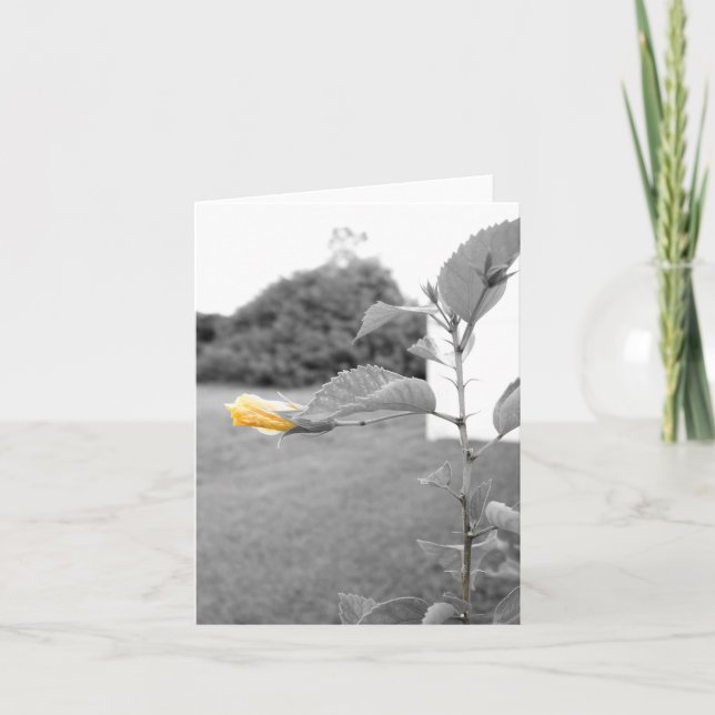 Yellow Hibiscus flower Note Cards (Front)