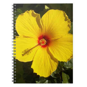 Yellow Hibiscus Flower Notebook