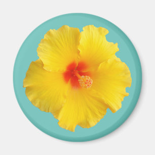 Yellow Hibiscus Flower Photo Magnet