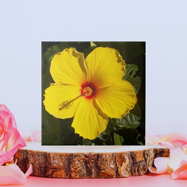 Yellow Hibiscus Flower Photo Trivet Backsplash (Yellow Hibiscus Flower Ceramic Tile)