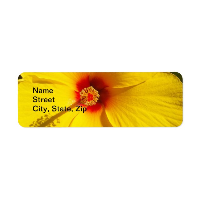 Yellow Hibiscus Flower Return Address Label (Front)