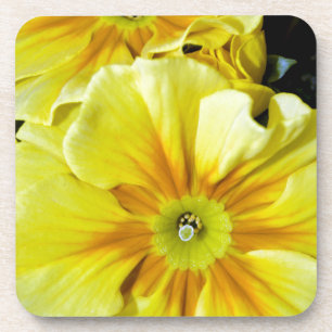 Yellow hibiscus flowers coaster