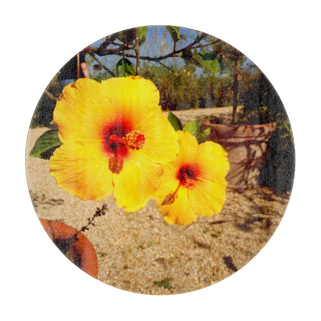 Yellow Hibiscus Glass Chopping Board (Front)