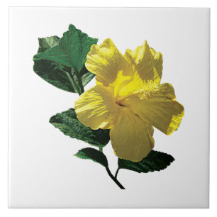 Yellow Hibiscus in Sunshine Ceramic Tile