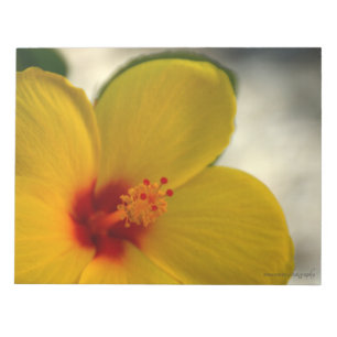 Yellow Hibiscus Notepad