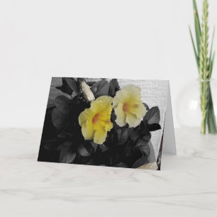 Yellow Hibiscus Photo "Happy Birthday!" Greeting Card