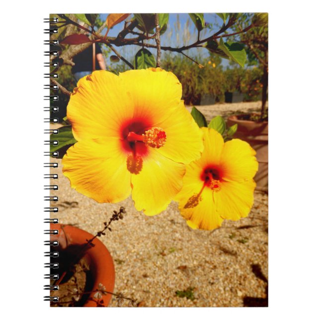 Yellow Hibiscus Photo Notebook (Front)