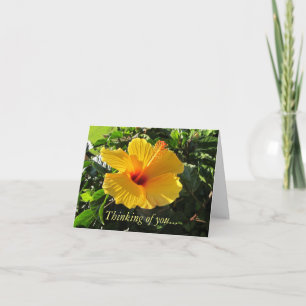 Yellow Hibiscus Tropical Thinking of You Card