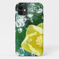 Yellow Hibiscus With Water Effects