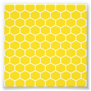 Yellow Honeycomb Geometric White Lines Bumblebee Photo Print