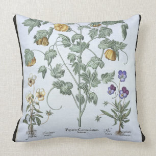 Yellow Horned Poppy, from the 'Hortus Eystettensis Cushion