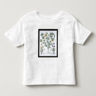 Yellow Horned Poppy, from the 'Hortus Eystettensis Toddler T-Shirt