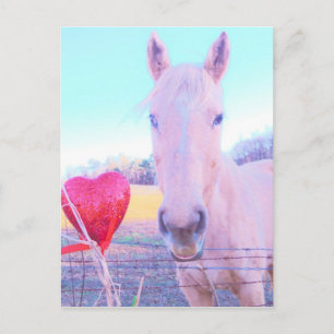 Yellow Horse and Red  Heart Postcard