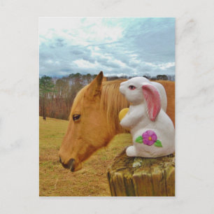 Yellow Horse, Spring Rabbit Postcard