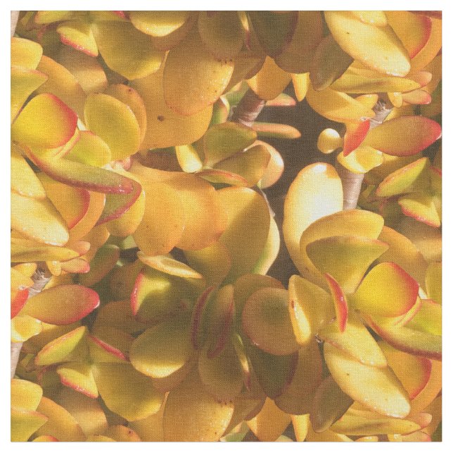 Yellow Ice Plants Fabric (Close Up)