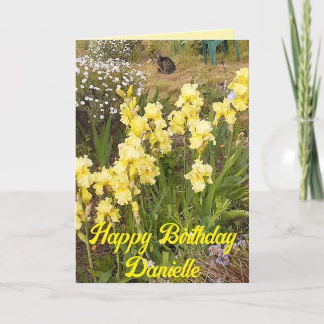 Yellow Iris and Tabby Cat Flower Floral Card (Front)