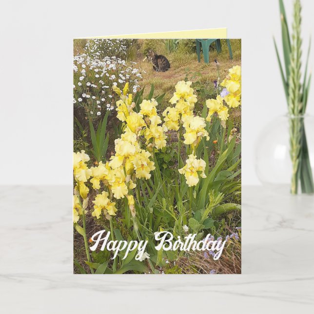 Yellow Iris and Tabby Cat Flower Floral Card (Front)