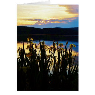 Yellow Iris at Lake Arrowhead shore