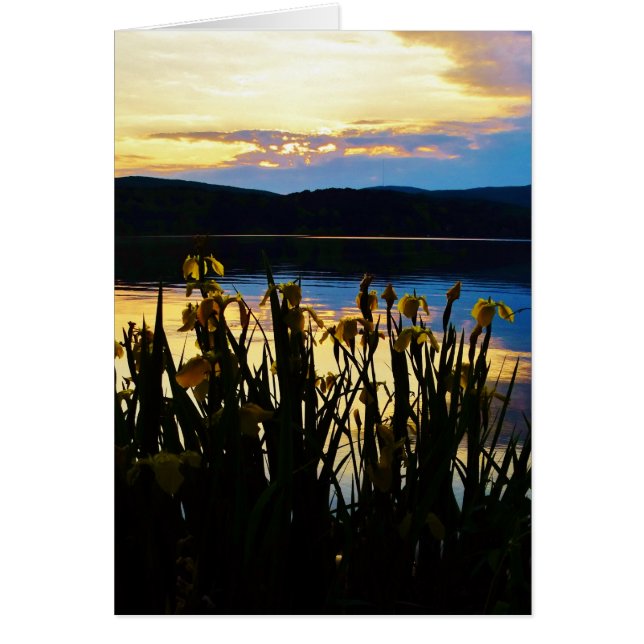 Yellow Iris at Lake Arrowhead shore (Front)