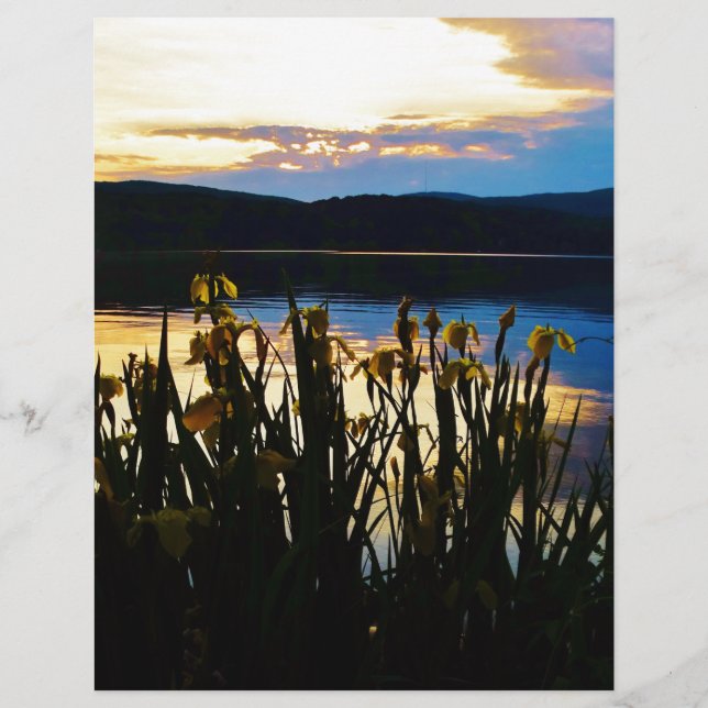 Yellow Iris at Lake Arrowhead shore (Front)