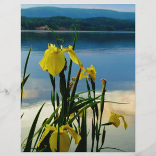 Yellow Iris at Lake Shore