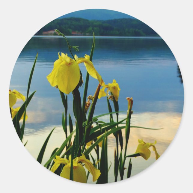 Yellow Iris at Lake Shore Classic Round Sticker (Front)