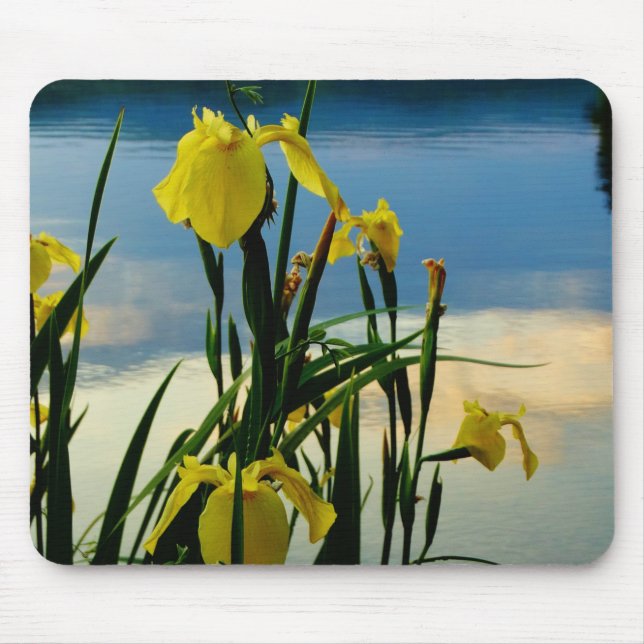 Yellow Iris at Lake Shore Mouse Pad (Front)