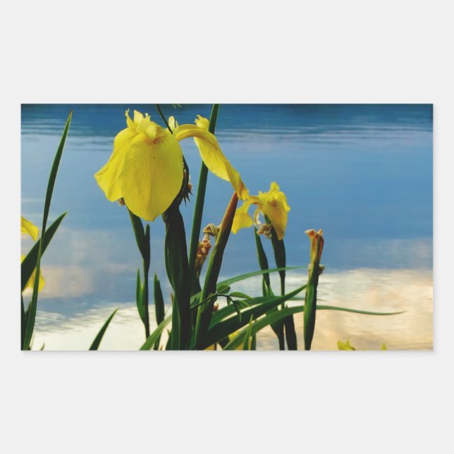 Yellow Iris at Lake Shore Rectangular Sticker (Front)
