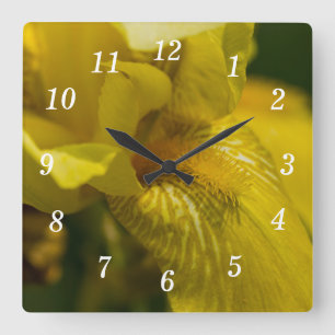 Yellow Iris Beard Wall Clock