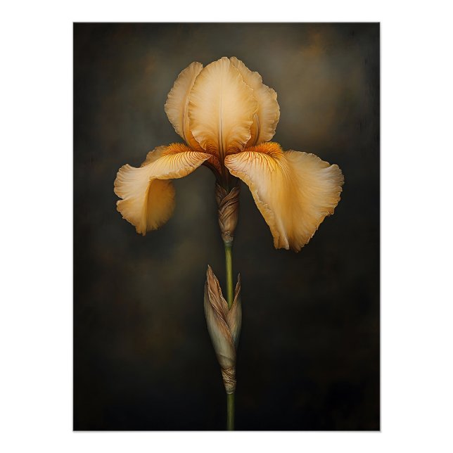 Yellow Iris Botanical Painting Poster (Front)
