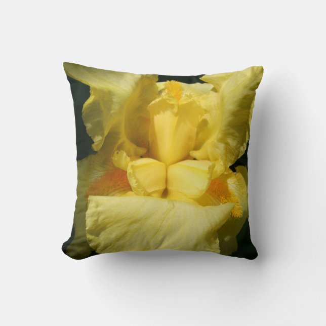 Yellow Iris Flower Close Up Cushion (Front)