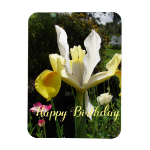 Yellow Iris Flower Floral Birthday Irises Magnet