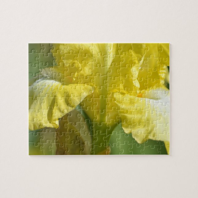 Yellow Iris Flower Jigsaw Puzzle (Horizontal)